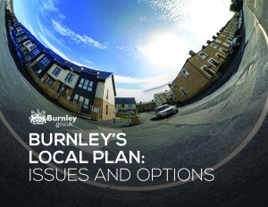 Issues and Options DocumentLow 1 halve small